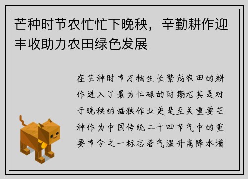 芒种时节农忙忙下晚秧，辛勤耕作迎丰收助力农田绿色发展